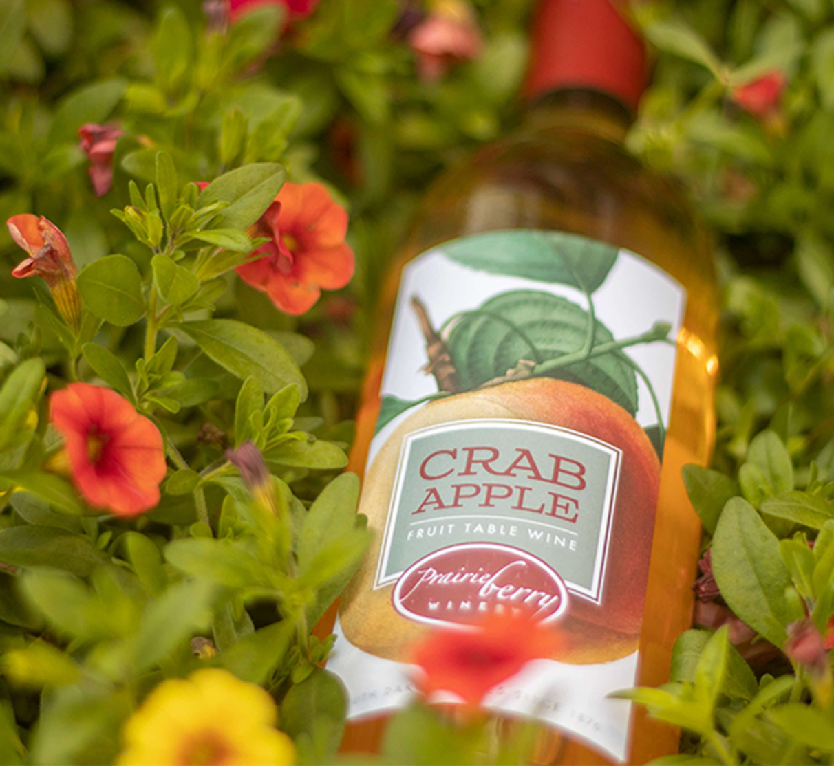 Crab-Apple Crab Apple