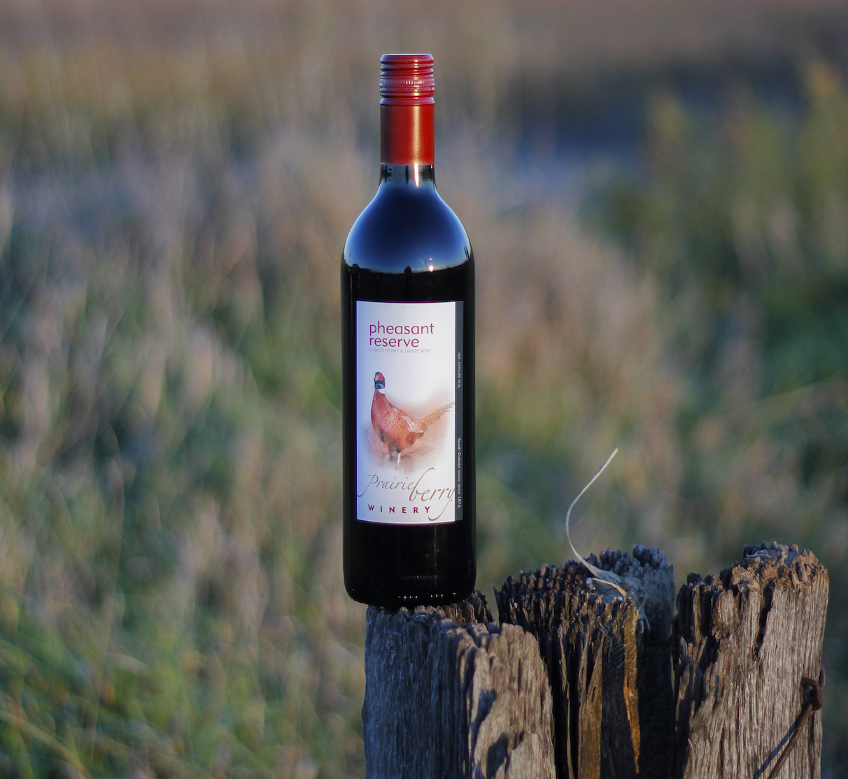 Pheasant Fever For a limited time, get a case (12 bottles) of Prairie Berry Winery's Pheasant Reserve wine plus free shipping for just $199.
