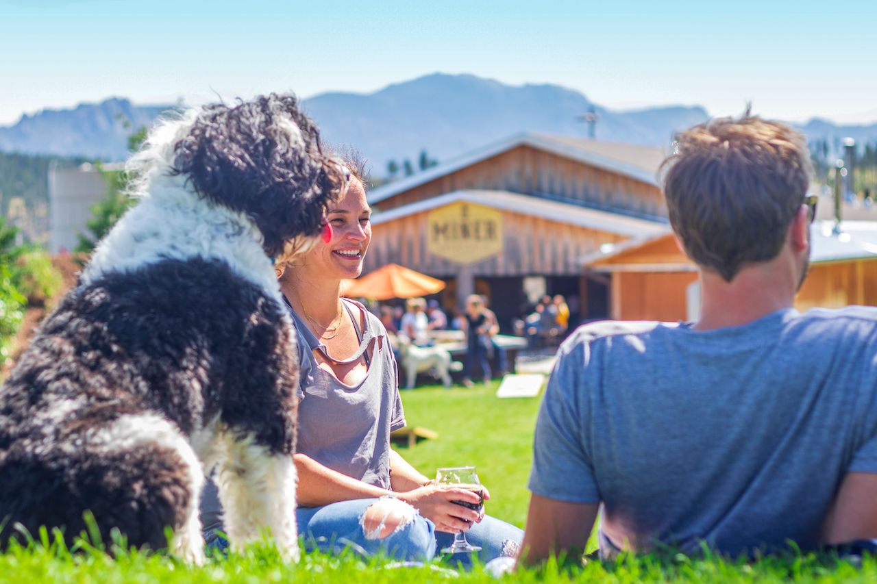A friendly dog and his humans enjoy an afternoon at the Miner Brewing Company Concert Lawn in the Black Hills of South Dakota.